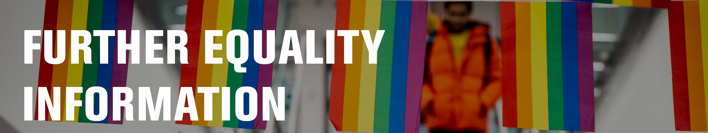 Equality and diversity at DMU